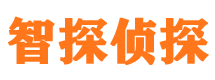 合川市私家侦探